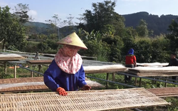Nhờ cách làm này, nông dân ở Lai Châu có thêm việc làm, gia tăng thu nhập