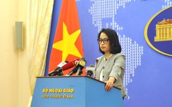 Việt Nam quan tâm tiến trình thảo luận về mở rộng thành viên nhóm BRICS