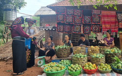 Sơn La: Tập trung phát triển kinh tế - xã hội vùng đồng bào dân tộc thiểu số