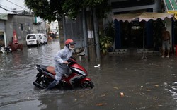 TP.HCM: Nhiều cống lâu đời, không đảm bảo thoát nước, gây ngập