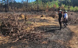 Hà Tĩnh: Đốt lửa dọn vườn, cháy lan sang rừng trồng, cụ ông gặp nạn tử vong