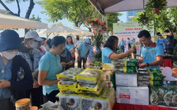 Đà Nẵng: Hội Nông dân quận Hải Châu tổ chức Phiên chợ nông sản, hoa, cây cảnh năm 2023