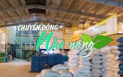 Chuyển động Nhà nông 19/8: Thanh Hóa ngăn chặn tình trạng thao túng thị trường cung ứng gạo