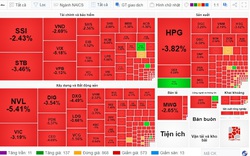 Thị trường chứng khoán lại "rực lửa", tâm điểm 2 mã cổ phiếu