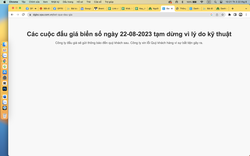 Đấu giá biển số ô tô ngày 22/8: Chưa kết thúc phiên thứ nhất đã phải tạm ngừng do đâu?