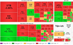 Thị trường chứng khoán "sáng nắng chiều mưa", VN-Index lao dốc về mốc điểm 1.172