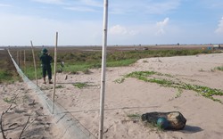 Lãnh đạo tỉnh Nam Định yêu cầu xử lý nghiêm trường hợp cố tình xâm phạm Vườn quốc gia Xuân Thủy