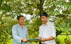 Quy trình sản xuất bền vững giúp phát huy tiềm năng trái cây Việt