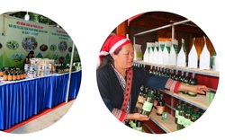 Phụ nữ dân tộc thiểu số tỉnh Lào Cai sáng tạo trong phát triển kinh tế