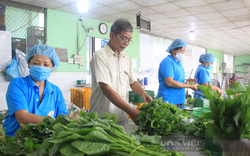 Nông dân huyện nông thôn mới TP.HCM thu tiền tỷ, sắm nhà lầu, xe hơi nhờ làm nông nghiệp đô thị