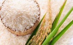 Cập nhật giá lúa gạo mới nhất ngày 25/8: Giá gạo Thái tiếp tục tăng, gạo Việt vẫn đắt nhất châu Á