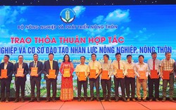 Học viện Nông nghiệp Việt Nam ký thỏa thuận với 3 doanh nghiệp về đào tạo nguồn nhân lực nông nghiệp