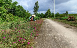 Vùng đất phèn Thới Bình ở Cà Mau có những con đường nông thôn mới đẹp như phim thế này đây