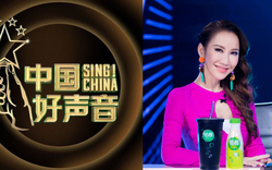 Phản ứng của thí sinh "Giọng hát hay Trung Quốc" trước bê bối bắt nạt Coco Lee?