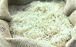 Ấn Độ có thể áp dụng giá sàn đối với gạo basmati xuất khẩu