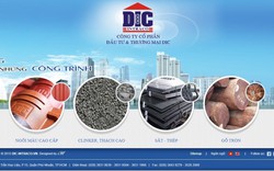 DIC bị phạt vì không công bố thông tin