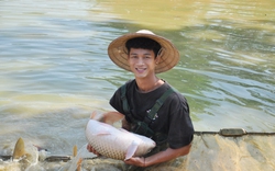 Suýt phá sản trắng tay, làm cách nào để một ông nông dân nuôi cá chép to bự ở Lào Cai thành tỷ phú?