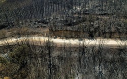 Những hình ảnh biết nói ở Hy Lạp về vụ "cháy rừng lớn nhất Châu Âu"