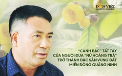 "Canh bạc" tất tay của người đưa "nữ hoàng trà" trở thành đặc sản vùng đất miền Đông Quảng Ninh