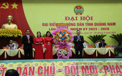 Hội Nông dân tỉnh Quảng Nam tăng ứng dụng công nghệ thông tin vào sản xuất và tiêu thụ nông sản