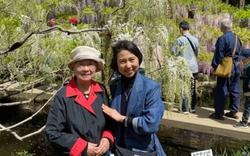 Cụ bà 85 tuổi người Nhật sống sót sau ung thư: 5 điều ai cũng có thể học