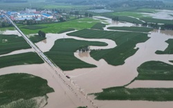 Nỗi lo an ninh lương thực khi vựa lúa Trung Quốc chìm trong nước lũ