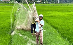 Sau phản ánh của Dân Việt, gần 80 mét lưới dùng bẫy chim hoang dã ở Ninh Bình bị tháo gỡ