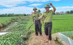 Ninh Bình: Liên tiếp tiêu hủy hàng trăm mét lưới dùng bẫy chim hoang dã sau phản ánh của Dân Việt