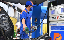 Giá xăng dầu hôm nay 10/8: Tăng "sốc" lên mốc đỉnh mới
