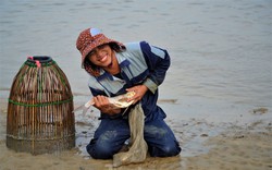 Hà Tĩnh: Cả trăm "nơm thủ" mua vé vào hồ thủy lợi trổ tài bắt cá đông vui như hội