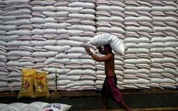 Giá gạo bán lẻ tăng báo động, Philippines áp giá trần bắt buộc