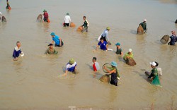 Hồ xả nước, cả trăm 'nơm thủ' đến hồ thủy lợi Đồng Môn, Hà Tĩnh trổ tài bắt cá