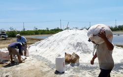 Đề xuất công nhận làng nghề, làng nghề truyền thống cho Làng muối Lý Nhơn