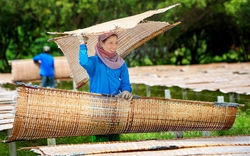 Làng nghề 80 năm trên đất Thép xuất khẩu bánh tráng sang Mỹ