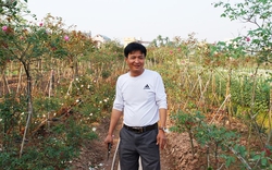 Một anh nông dân Hà Nam tự trả lương cao cho chính mình bằng trồng hoa hồng cổ Sa Pa vạn người mê