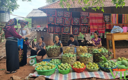 Đẩy mạnh tuyên truyền phát triển kinh tế - xã hội vùng đồng bào dân tộc thiểu số và miền núi