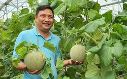 Hội Nông dân tỉnh Bình Thuận hỗ trợ nông dân ứng dụng chuyển đổi số trong sản xuất nông nghiệp