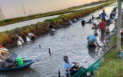 Nuôi "tung tung" nhiều loại cá trong một ao, nông dân ở vùng này của Kiên Giang có thu nhập "ăn chắc mặc bền"