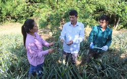 Huyện Sông Mã của Sơn La thay đổi tư duy sản xuất nông nghiệp