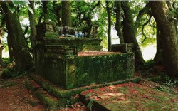 Bí ẩn mộ cổ con gái Vua Hùng nằm giữa gò lộc vừng
