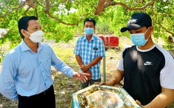 Hội Nông dân tỉnh Bà Rịa-Vũng Tàu thực hiện 3 đề án trọng điểm giúp nông dân, nông nghiệp khởi sắc
