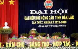 Phát biểu ấn tượng của một đại biểu tại Đại hội đại biểu Hội Nông dân tỉnh Đắk Lắk, lần thứ X