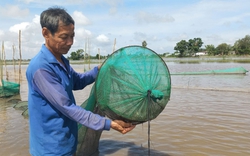 Chuyện lạ có thật: Ở nơi người dân lúc nào cũng mong ngóng lũ về, thế nhưng năm nay, lũ về trễ và thấp