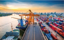 Điều chỉnh giá sàn xếp dỡ container sẽ tác động như nào đến các doanh nghiệp cảng biển Việt Nam?