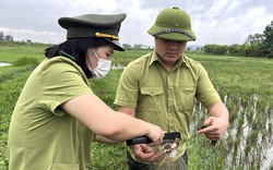 Công an, Kiểm lâm Thanh Hoá tháo dỡ những “thiên la, địa võng” bẫy chim trời, cò sau phản ánh của báo Dân Việt