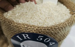Giá gạo xuất khẩu đột ngột rời đỉnh