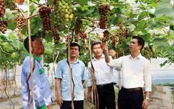 NTM Bắc Giang: Hiệp Hòa hướng tới xây dựng nông thôn mới thông minh