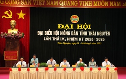 Chủ tịch BCH Trung ương Hội Nông dân Việt Nam Lương Quốc Đoàn sẽ dự Đại hội Hội Nông dân tỉnh Thái Nguyên