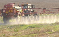 EU đề xuất gia hạn 10 năm giấy phép sử dụng thuốc diệt cỏ glyphosate