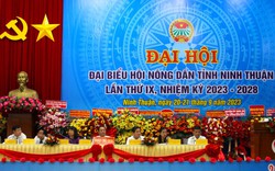 Phó Chủ tịch Hội Nông dân tỉnh Ninh Thuận Lê Thanh Hùng được bầu làm Chủ tịch HND tỉnh khóa IX, nhiệm kỳ 2023- 2028